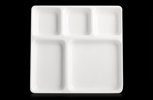 Square Compartment Tray